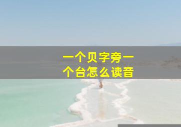 一个贝字旁一个台怎么读音