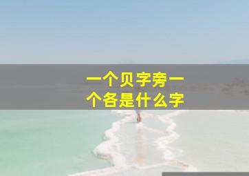 一个贝字旁一个各是什么字