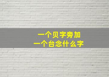 一个贝字旁加一个台念什么字