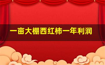 一亩大棚西红柿一年利润