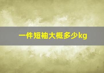 一件短袖大概多少kg