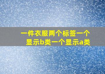 一件衣服两个标签一个显示b类一个显示a类