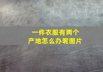 一件衣服有两个产地怎么办呢图片