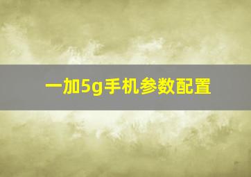 一加5g手机参数配置