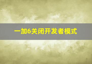 一加6关闭开发者模式