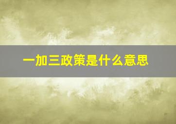 一加三政策是什么意思