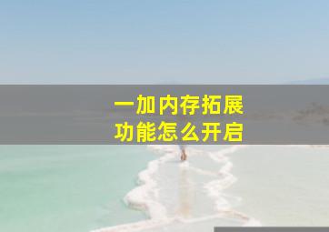 一加内存拓展功能怎么开启