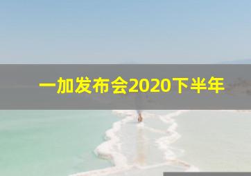 一加发布会2020下半年