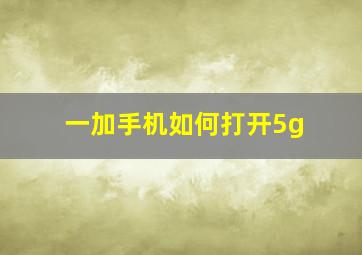 一加手机如何打开5g