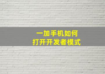 一加手机如何打开开发者模式