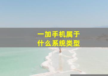 一加手机属于什么系统类型