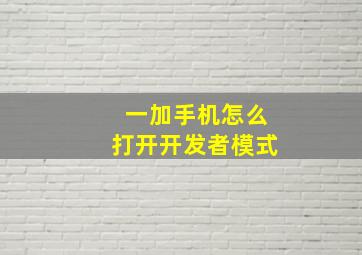 一加手机怎么打开开发者模式