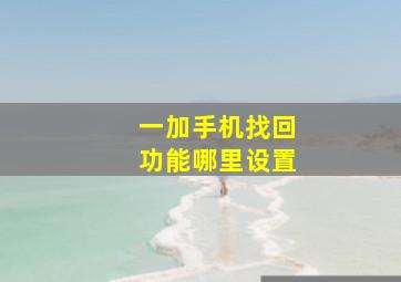 一加手机找回功能哪里设置