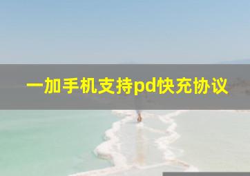 一加手机支持pd快充协议