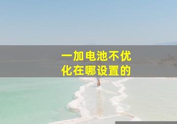 一加电池不优化在哪设置的