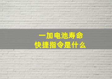 一加电池寿命快捷指令是什么