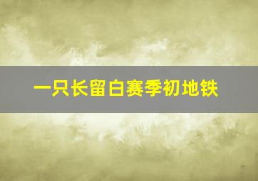 一只长留白赛季初地铁