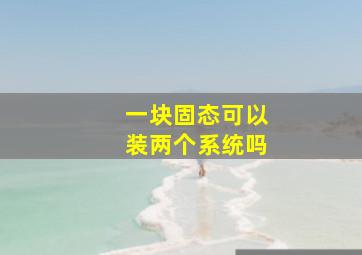 一块固态可以装两个系统吗