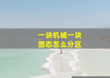 一块机械一块固态怎么分区