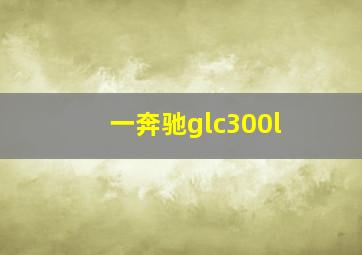 一奔驰glc300l