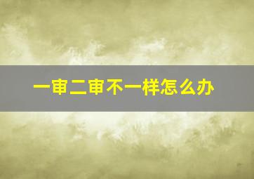 一审二审不一样怎么办