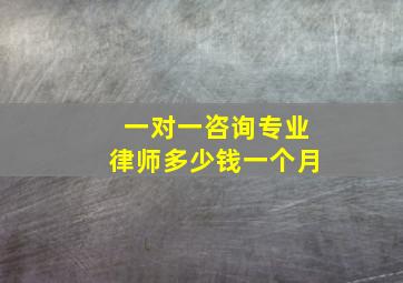 一对一咨询专业律师多少钱一个月