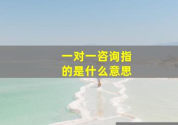 一对一咨询指的是什么意思