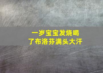 一岁宝宝发烧喝了布洛芬满头大汗