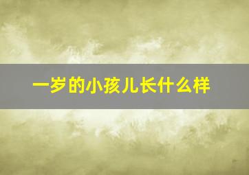 一岁的小孩儿长什么样