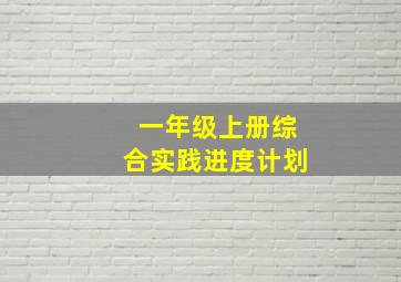 一年级上册综合实践进度计划