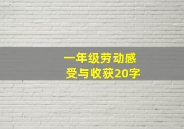 一年级劳动感受与收获20字