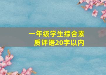 一年级学生综合素质评语20字以内