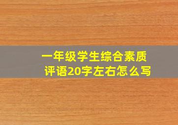 一年级学生综合素质评语20字左右怎么写