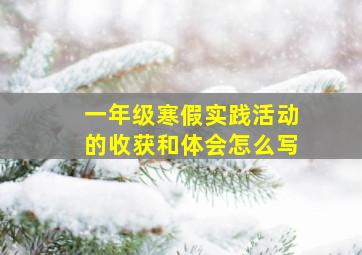 一年级寒假实践活动的收获和体会怎么写