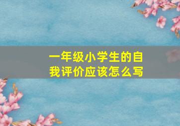 一年级小学生的自我评价应该怎么写