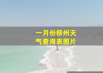 一月份柳州天气查询表图片