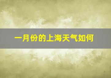 一月份的上海天气如何