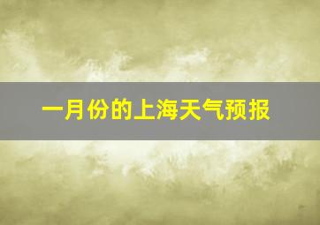 一月份的上海天气预报