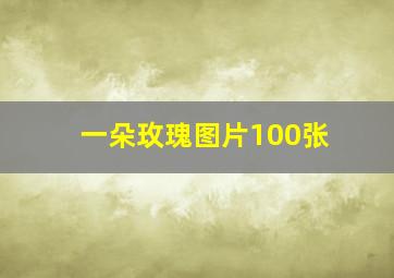 一朵玫瑰图片100张