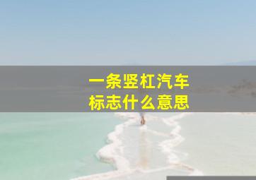 一条竖杠汽车标志什么意思