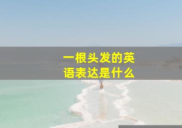 一根头发的英语表达是什么