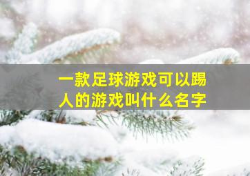 一款足球游戏可以踢人的游戏叫什么名字