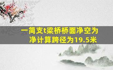 一简支t梁桥桥面净空为净计算跨径为19.5米