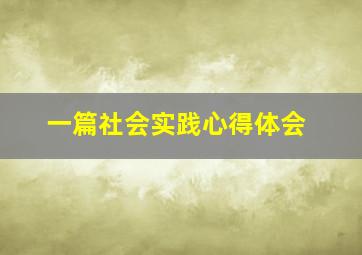 一篇社会实践心得体会