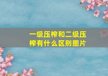 一级压榨和二级压榨有什么区别图片