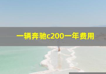 一辆奔驰c200一年费用