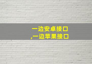 一边安卓接口,一边苹果接口