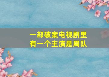 一部破案电视剧里有一个主演是周队