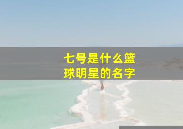 七号是什么篮球明星的名字