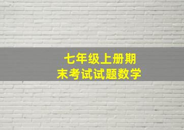 七年级上册期末考试试题数学